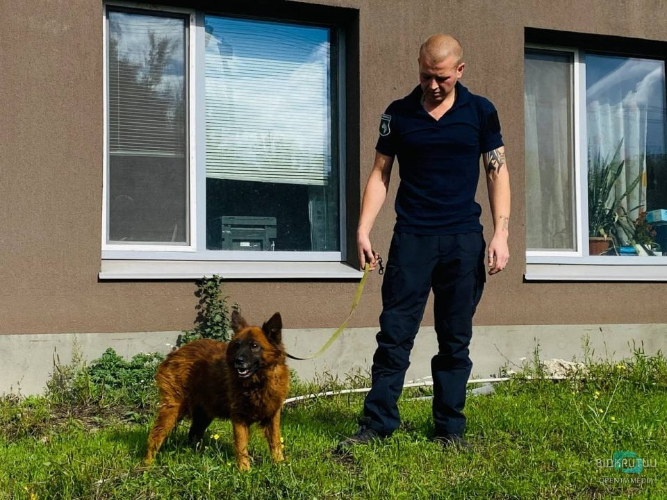 Втратив свою сім'ю, але залишився живим: як почувається пес Крим з Дніпра (Фото)