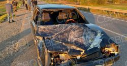 На Днепропетровщине водитель легковушки насмерть сбил женщину, которая вела корову вдоль дороги - рис. 4