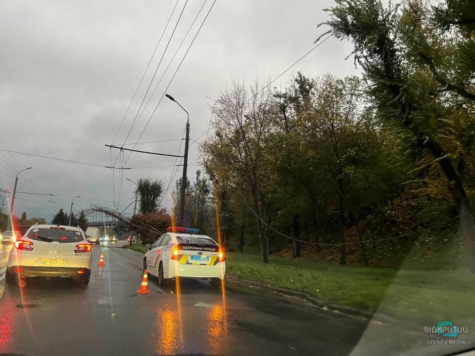 У Дніпрі неподалік Мерефо-Херсонського мосту впало дерево, утворивши затор