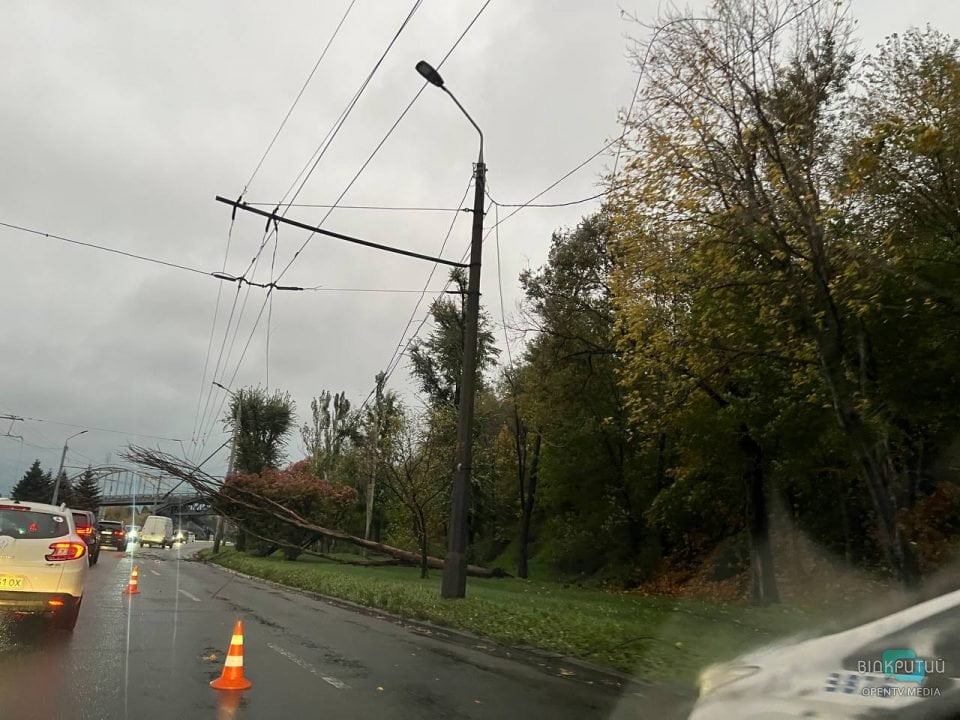 У Дніпрі неподалік Мерефо-Херсонського мосту впало дерево, утворивши затор