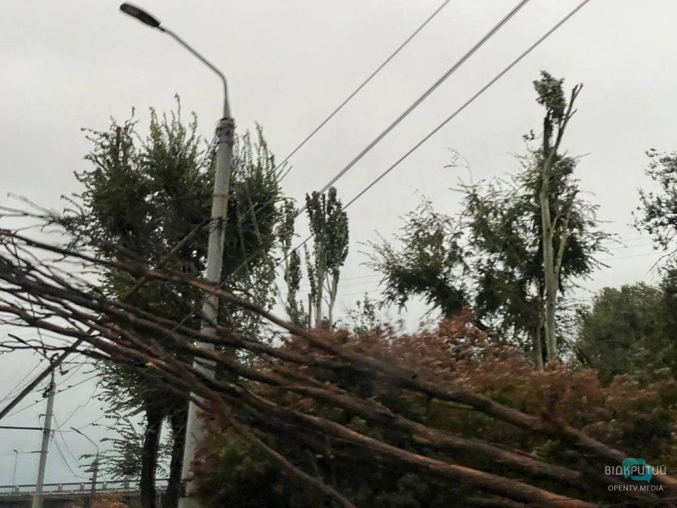 У Дніпрі неподалік Мерефо-Херсонського мосту впало дерево, утворивши затор