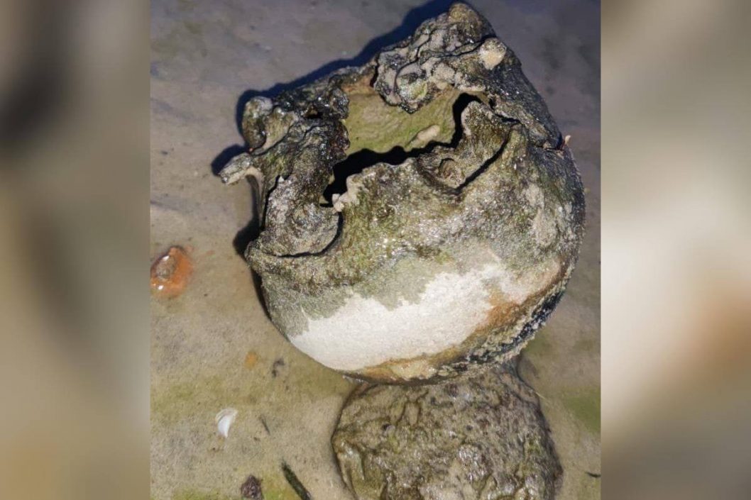На берегу Самары днепряне обнаружили человеческий череп - рис. 1