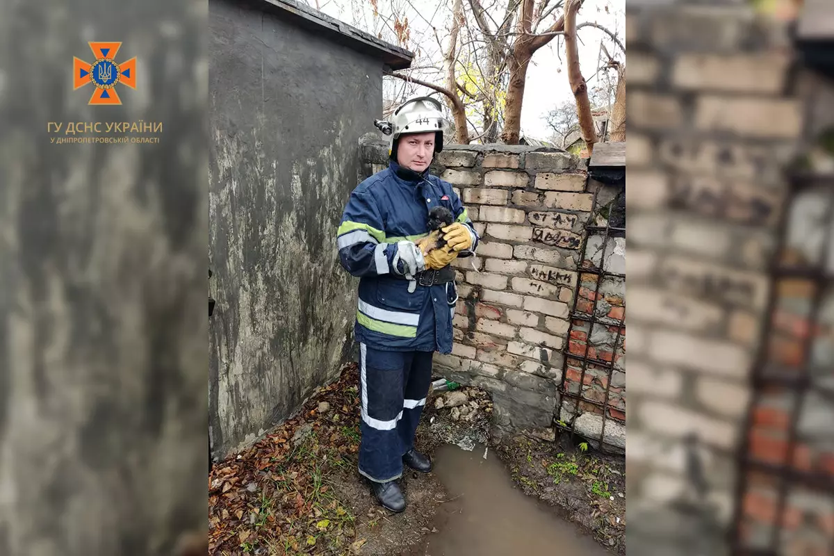 У приватному будинку на Дніпропетровщині врятували цуценя, яке застрягло під бетонною плитою - рис. 1