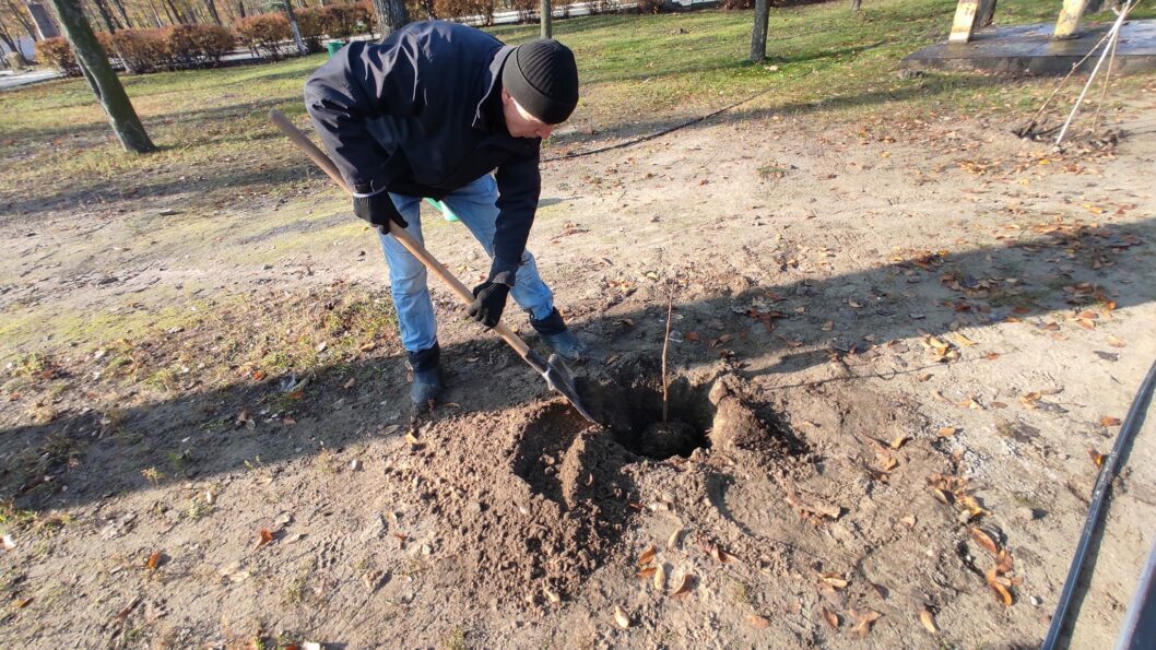 В Днепре в Приднепровском парке высадили десятки деревьев - рис. 2