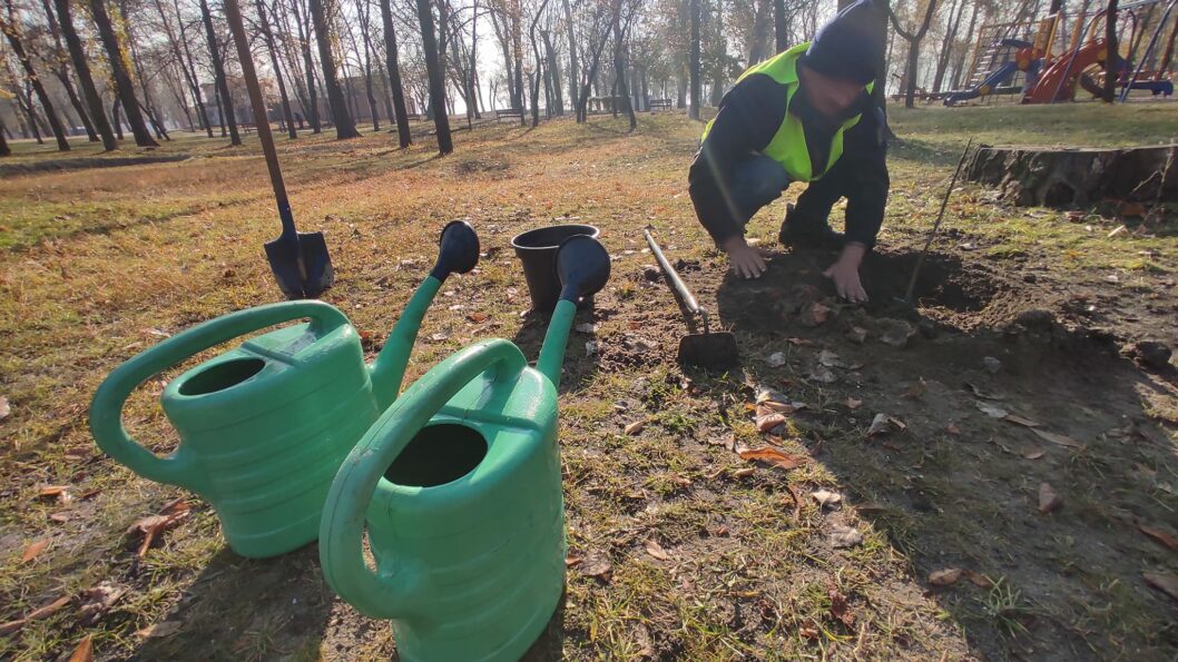 В Днепре в Приднепровском парке высадили десятки деревьев - рис. 9