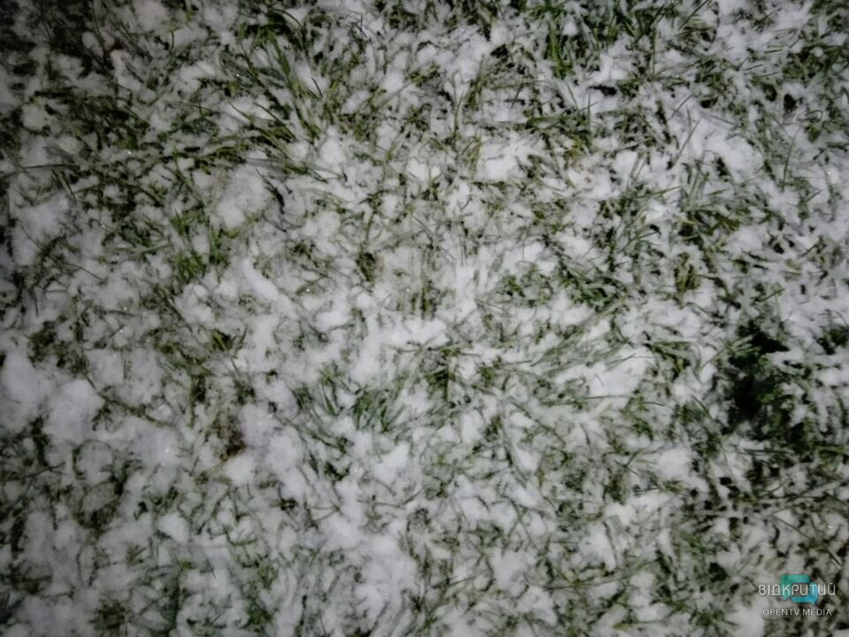 Зима на порозі: у Дніпрі випав перший сніг (Фото/Відео) - рис. 2