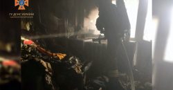 В Кривом Роге во время ликвидации пожара чрезвычайники спасли пожилую женщину - рис. 11