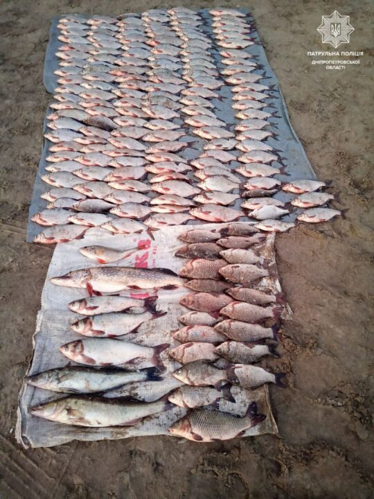 У Дніпрі затримали браконьєра, який виловив риби на 288 тисяч гривень - рис. 1