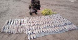В Днепре задержали браконьера, выловившего рыбы на 288 тысяч гривен - рис. 18