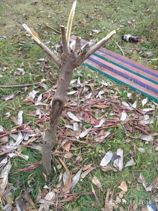 У Дніпрі малолітні вандали зламали лавку на дитячому майданчику - рис. 3