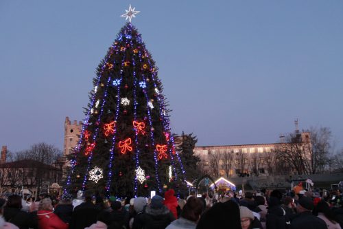 Стало известно, где в Днепропетровской области установят новогоднюю ёлку - рис. 1