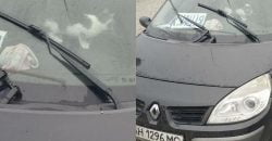 В Павлограде 4 сутки ищут владельца автомобиля, закрывшего внутри кота - рис. 2
