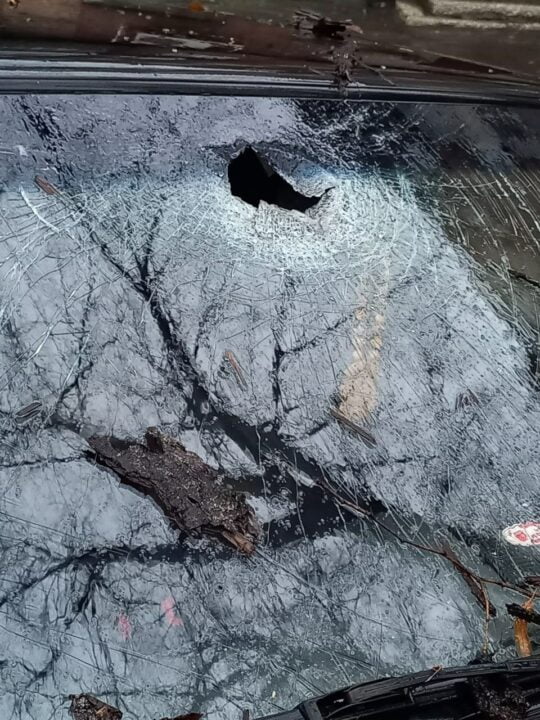 У Дніпрі внаслідок негоди гілка дерева пошкодила лобове скло легковика (Фото) - рис. 1