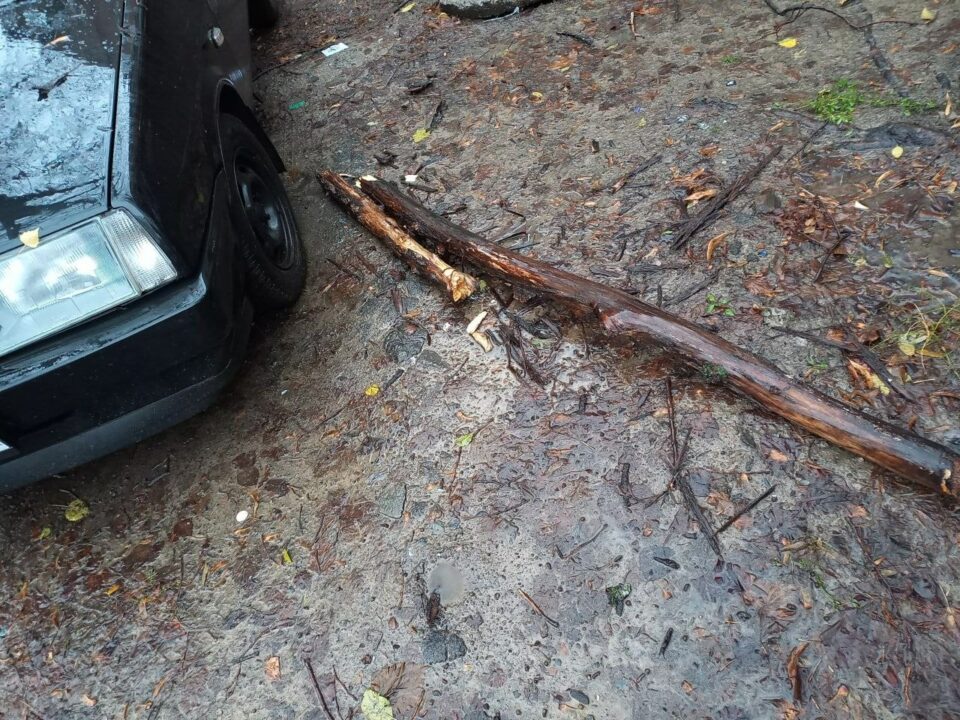 У Дніпрі внаслідок негоди гілка дерева пошкодила лобове скло легковика (Фото) - рис. 3
