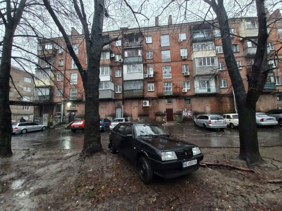 У Дніпрі внаслідок негоди гілка дерева пошкодила лобове скло легковика (Фото) - рис. 4