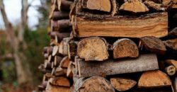 Мешканцям прифронтових громад Дніпропетровщини безоплатно надають дрова - рис. 12
