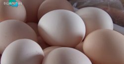 «Золотое» яичко: почему подорожали яйца и стоит ли ожидать понижения цены - рис. 13