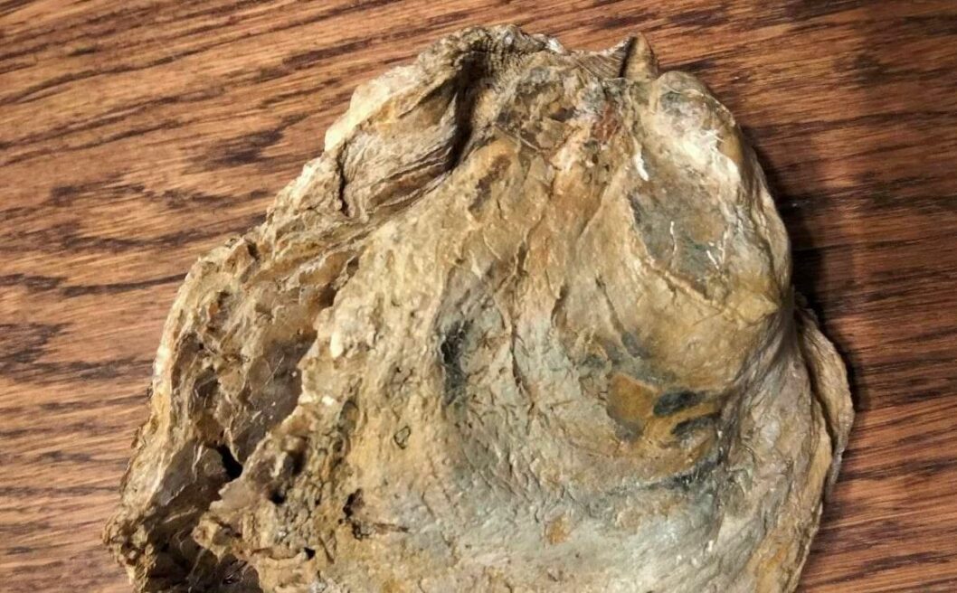 Історичний музей у Дніпрі поповнився старовинним експонатом