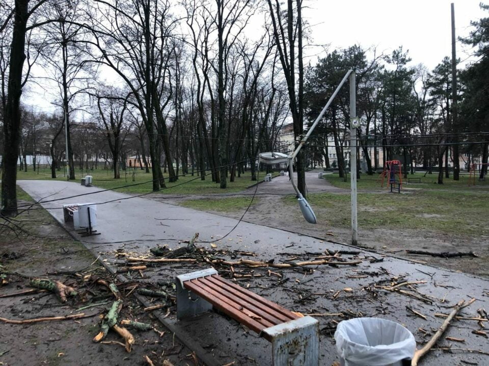 Наслідки негоди: в одному з парків Дніпра впало дерево та зламався ліхтар - рис. 1