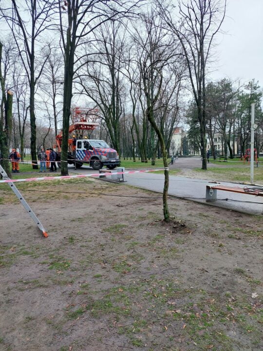 Последствия непогоды: в одном из парков Днепра упало дерево и сломался фонарь - рис. 3