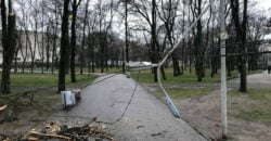 Последствия непогоды: в одном из парков Днепра упало дерево и сломался фонарь - рис. 7