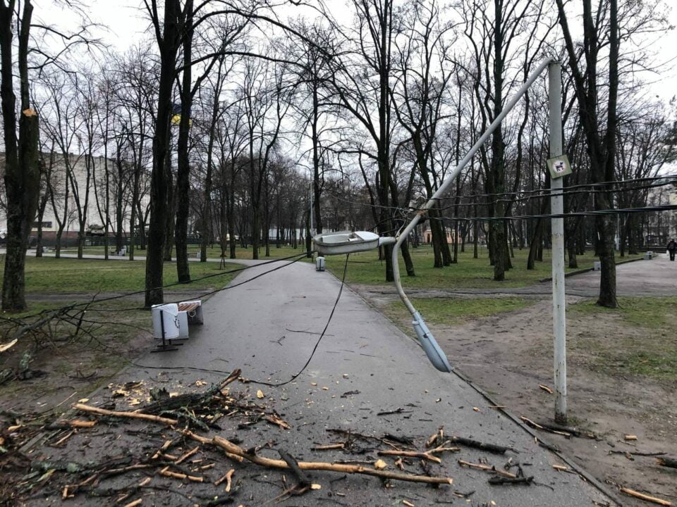 Наслідки негоди: в одному з парків Дніпра впало дерево та зламався ліхтар - рис. 2
