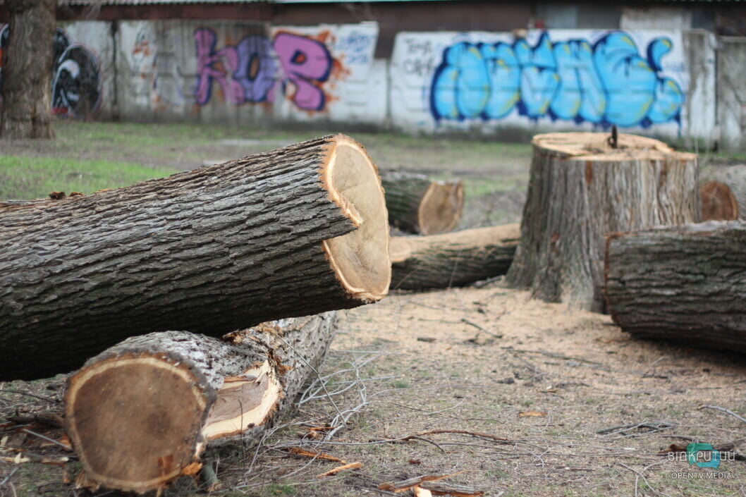 У дніпровському парку Глоби продовжують пиляти і омолоджувати дерева