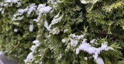 В Україні тепло з дощами: прогноз погоди у Дніпрі на вихідних