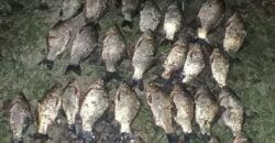 Выловили 45 рыбин: в Днепре полицейские задержали браконьеров - рис. 18