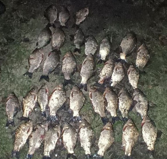 Виловили 45 рибин: у Дніпрі поліцейські затримали браконьєрів - рис. 1