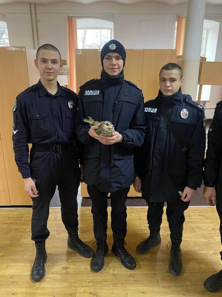 В Днепре курсанты спасли замерзшего совенка - рис. 1
