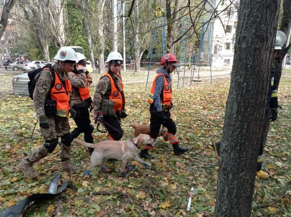 "Я вожу людей, а не собак": у Павлограді водій не пустив до автобуса рятувальниць із собаками