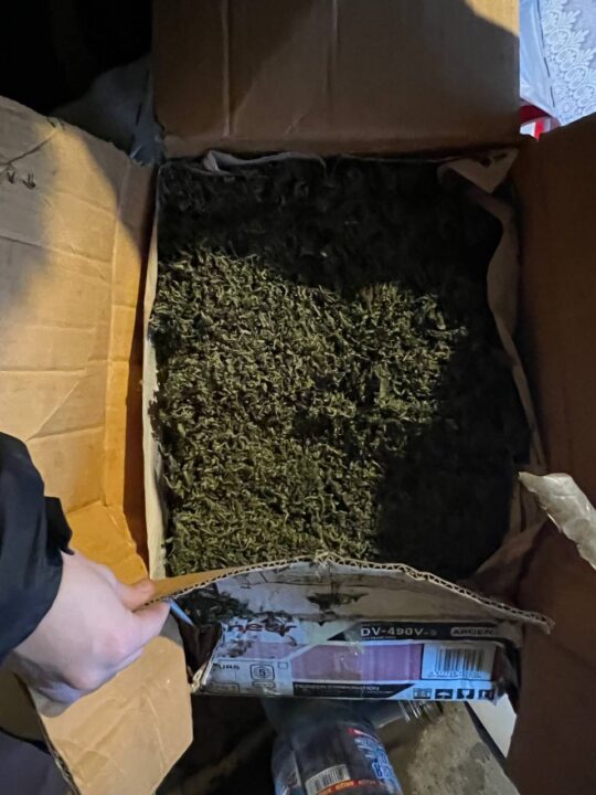 В Кривом Роге полиция задержала трех горожан за хранение 4 кг марихуаны