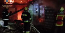 На Дніпропетровщині під час пожежі загинув чоловік - рис. 14