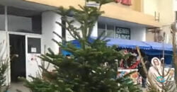 Біля центрального ринку в Дніпрі відкрили продаж новорічних дерев