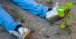 В Днепре на Набережной Заводской был найден труп мужчины - рис. 7