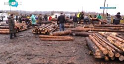 Около 26 000 семей Днепропетровщины подали заявки на бесплатные дрова - рис. 12