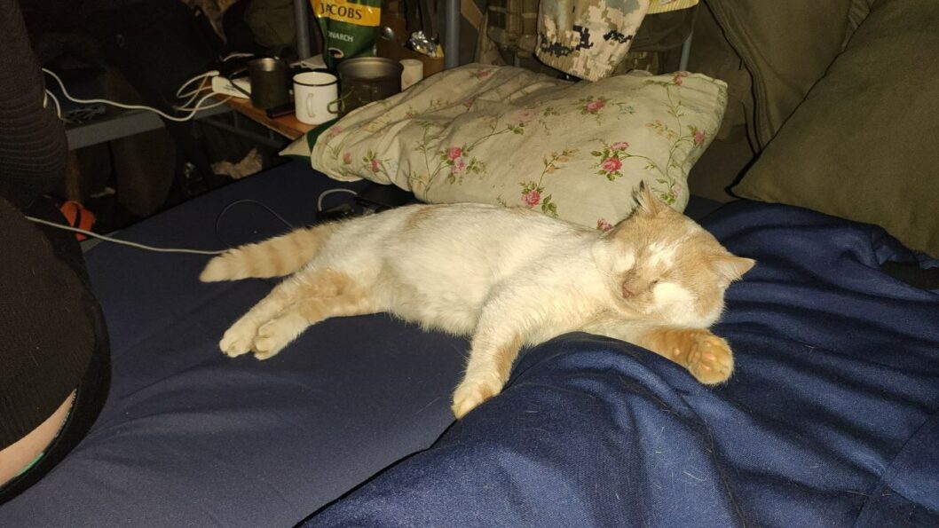 Військовослужбовець з Дніпра про побут в армії, турботу про котиків та фінансову грамотність