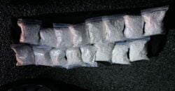 На Дніпропетровщині затримали контрабандистку, яка перевозила 20 кілограмів наркотиків - рис. 10