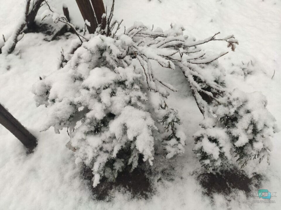 Словно в сказке: в Днепре выпал долгожданный снег (Фото/Видео) - рис. 11