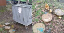 У Дніпрі на смітнику знайшли міни та гранати: коментар очільника міста - рис. 5