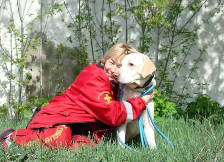 У Павлограді помер пес-рятувальник Боні, якого прозвали "танцюючим лабрадором"