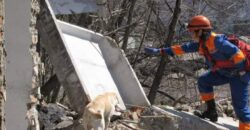 В Павлограде умер пес-спасатель Бони, прозванный "танцующим лабрадором" - рис. 1