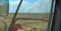 Аграрный фронт KSG Agro: как украинский бизнес противостоит российской агрессии - рис. 13