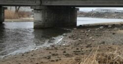 Отошла на 5 метров: река Днепр сильно обмелела - рис. 12