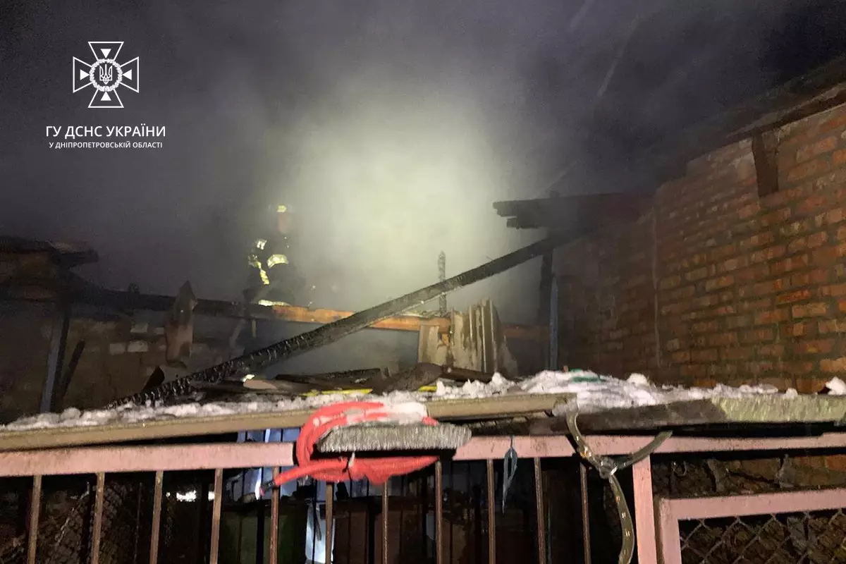 Під час пожежі на Дніпропетровщині постраждали домашні тварини, одна з них загинула - рис. 1