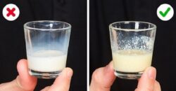Как проверить молоко на свежесть в домашних условиях?