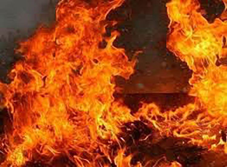 Загинула жінка: на Дніпропетровщині рятувальники загасили пожежу