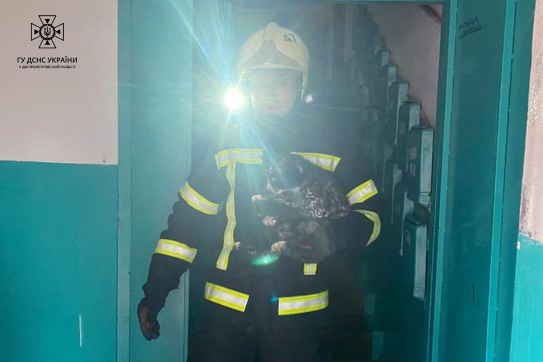 У Дніпрі під час ліквідації пожежі врятували котиків