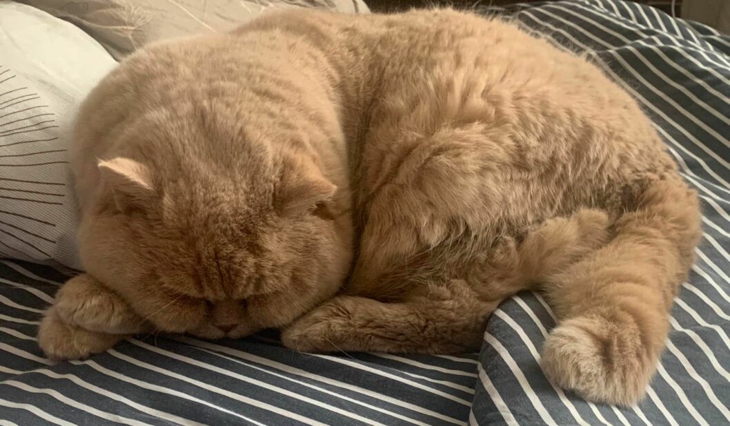 Температура повітря знизиться: якою буде погода у Дніпрі на вихідних